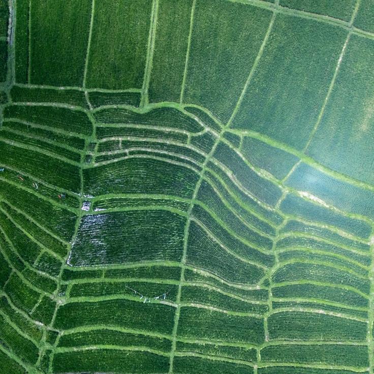Outdoor terrace seating suitable for families in Amsterdam
